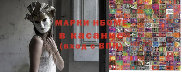 сатива Бердск