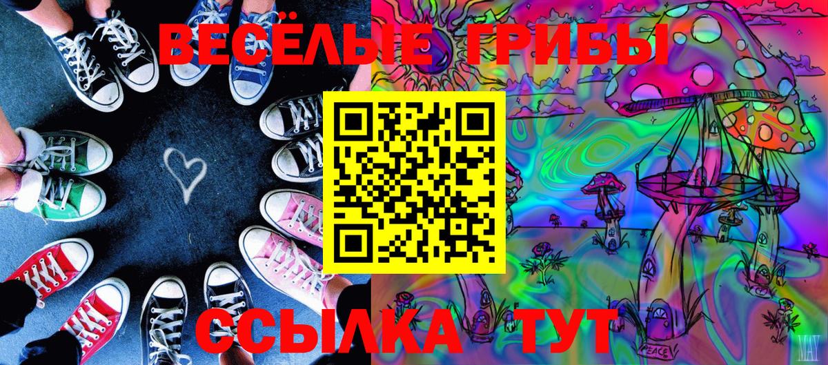 Галлюциногенные грибы GOLDEN TEACHER Воткинск