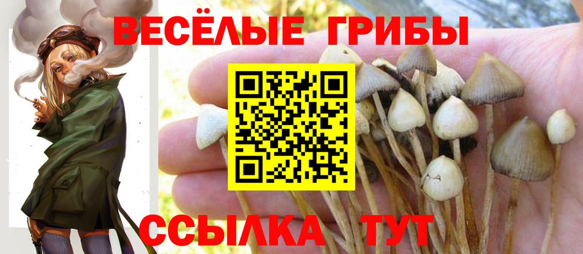 Воткинск  Псилоцибиновые грибы Psilocybine cubensis  купить наркотики цена  Вход с VPN 
